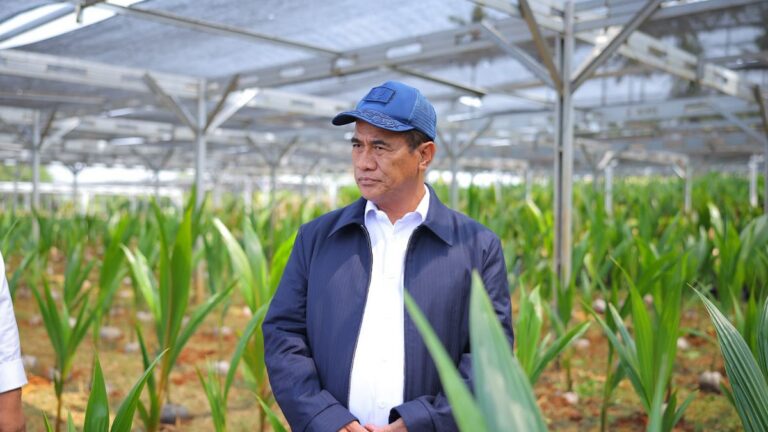 Indonesian govt offers free seeds for 870,000 hectares of plantations