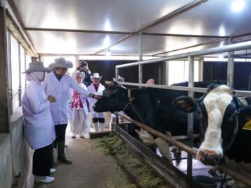 Govt seeks to integrate dairy cooperatives into MBG supply chain