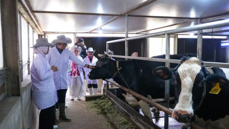 Govt seeks to integrate dairy cooperatives into MBG supply chain