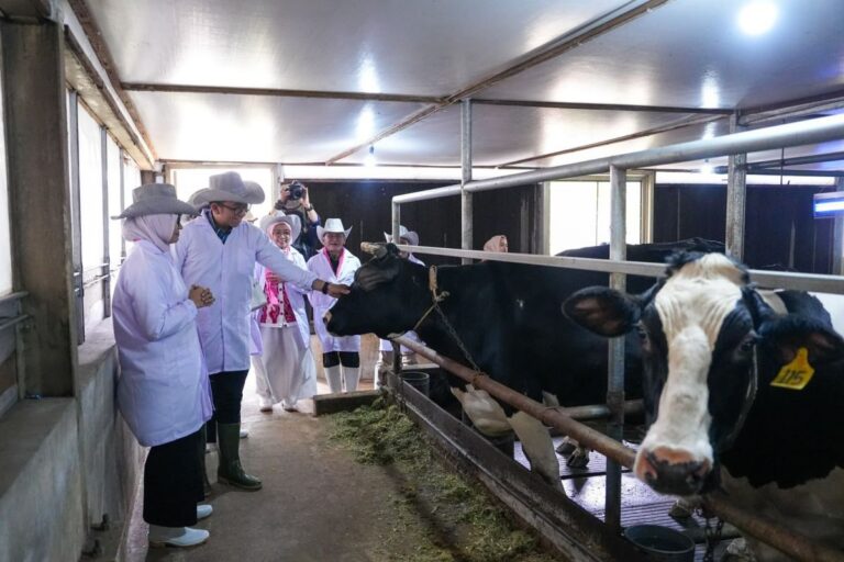 Govt seeks to integrate dairy cooperatives into MBG supply chain