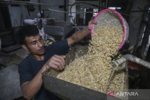 “Tempe” potential to become a flagship product in the US market