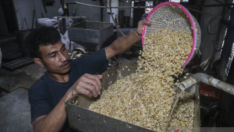 “Tempe” potential to become a flagship product in the US market