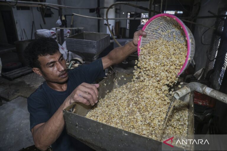 “Tempe” potential to become a flagship product in the US market